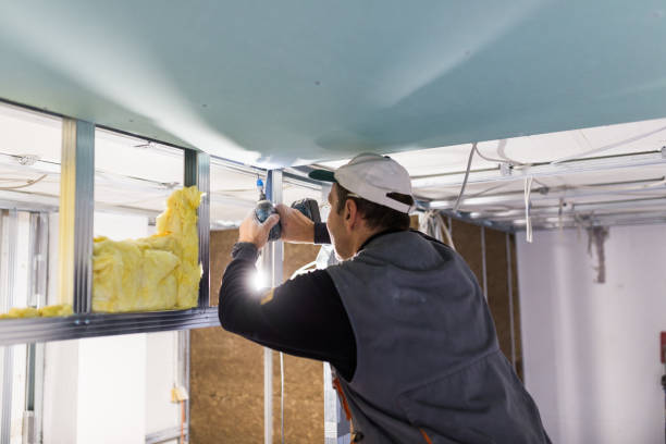 Best Spray Foam Insulation in Redington Shores, FL