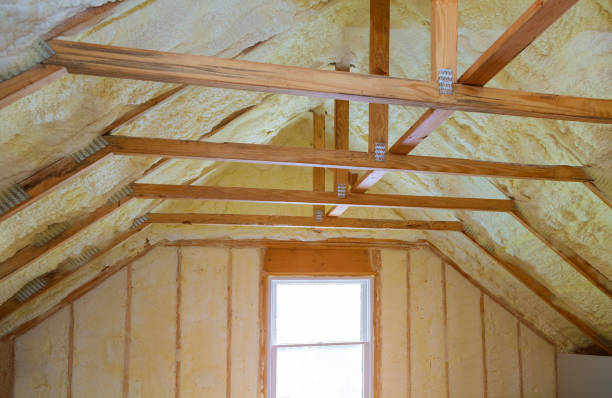 Best Eco-Friendly Insulation in Redington Shores, FL