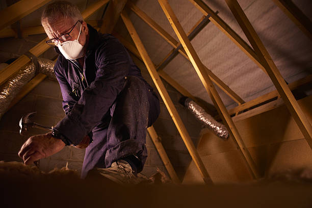 Best Geographic-Specific Insulation Services in Redington Shores, FL